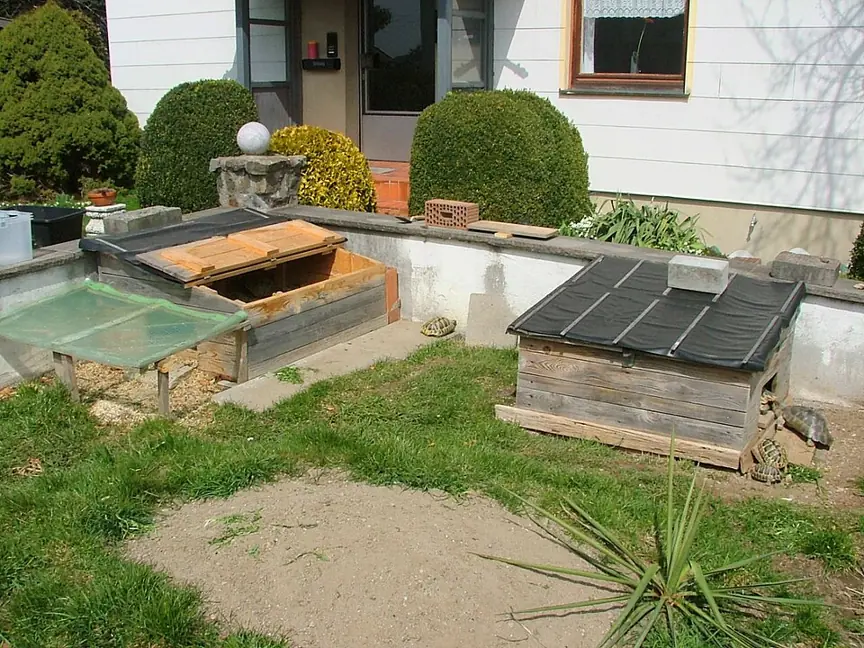 Outdoor planted enclosure beside a house with low walls, a transparent covered section and a roofed shelter.