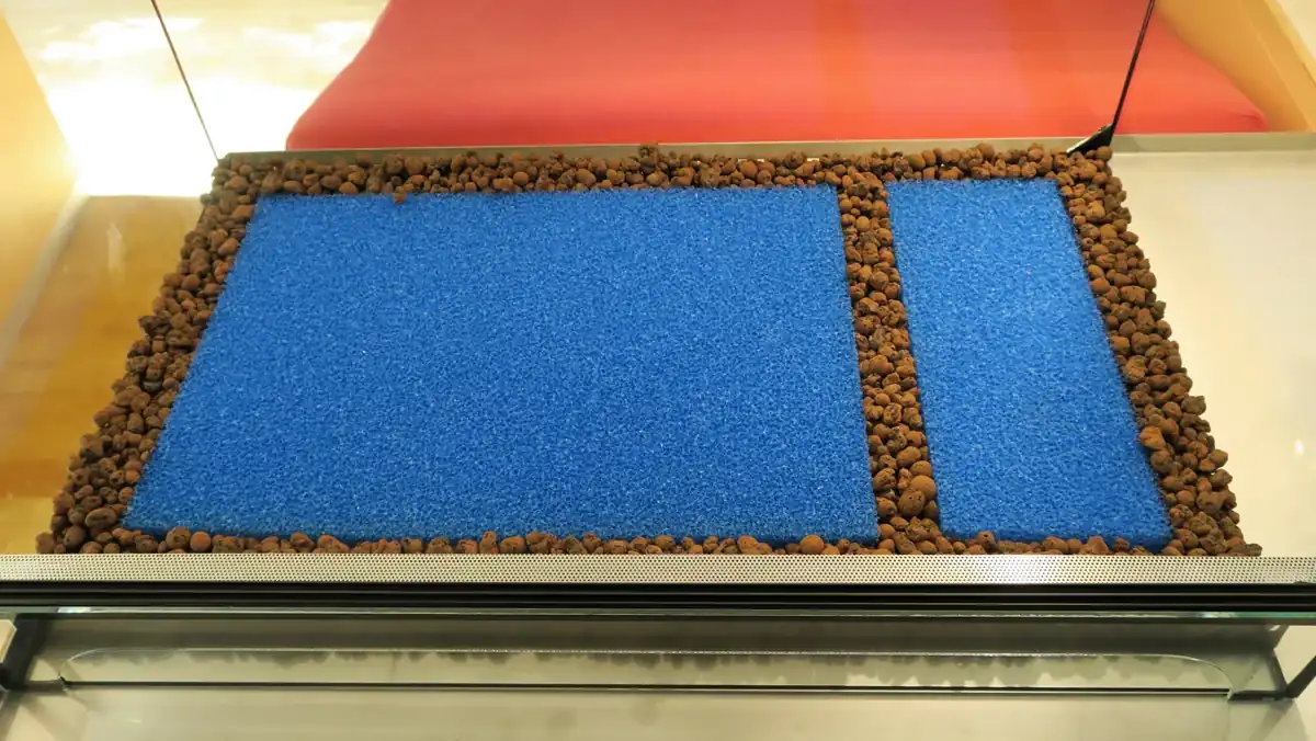 Expanded-clay pellets and porous filter mat at the base of the planted terrarium.